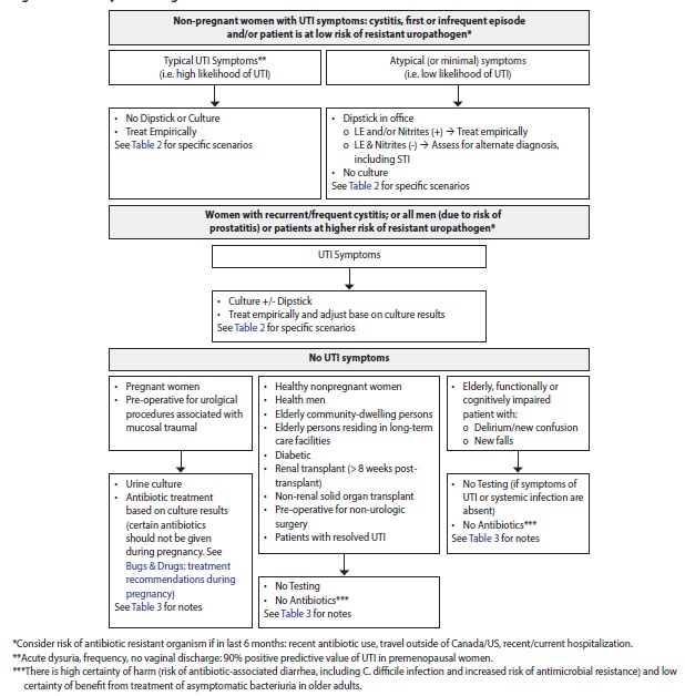 Figure flow chart for investigation of UTI